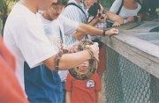 025-Holding snakes too